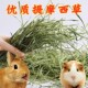 豚鼠荷兰猪鼠龙猫兔子天竺鼠牧草粮食饲料提摩西草提木西草200克