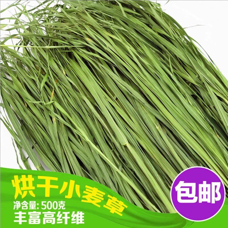 烘干全叶小麦草嫩叶宠物兔子荷兰猪豚鼠天竺龙猫牧草干草毛重1kg,宠物/宠物食品及用品,兔兔干草,淘宝优惠券,粉丝福利购,淘宝优惠卷