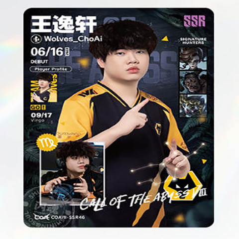 深渊八狼队Wolves战队IVL珍宝集正品第五人格赛事收藏卡