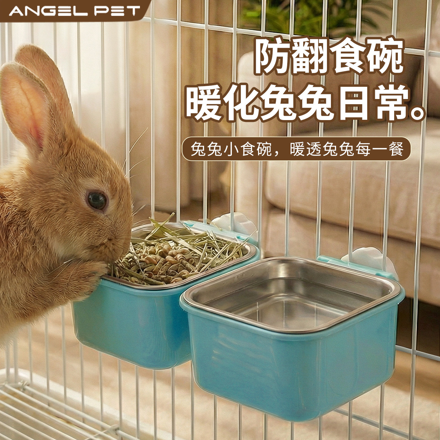 【安吉派特】兔食盆兔子喂食器图片
