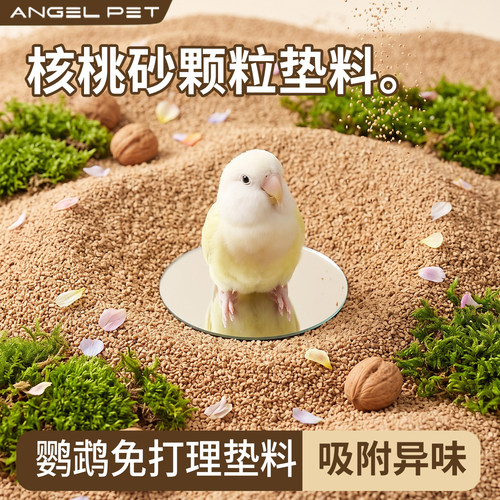 【安吉派特】鹦鹉专用垫料