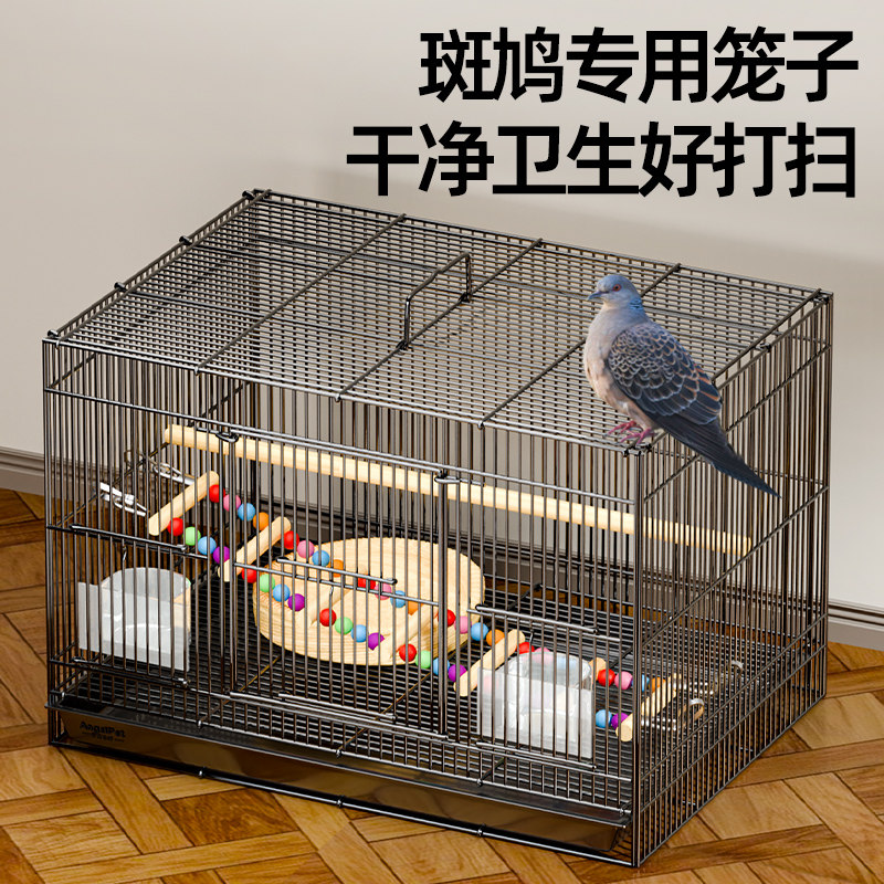 斑鸠专用笼子斑鸠鸟笼养殖笼子养斑鸠活鸟家养的笼子超大号繁殖窝