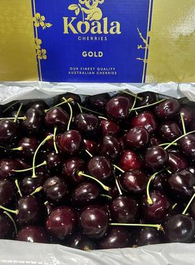澳洲KOALA金考拉空运车厘子 4斤28-30mm 新鲜科迪亚KODIA澳车水果
