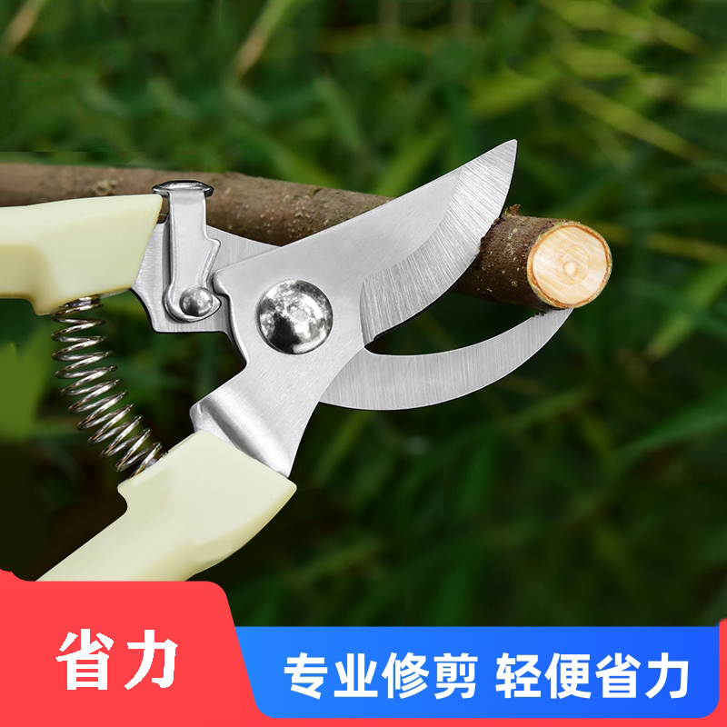 花木嫁接果木钳子插花修枝剪花卉剪刀专业绿植烧烤竹签剪刀省