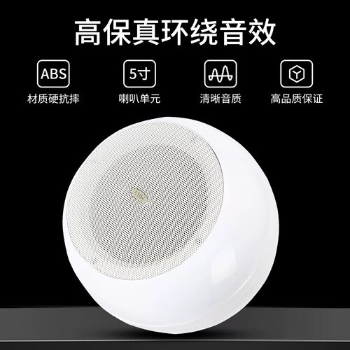 Hivi/惠威 TW-103吊球音响咖啡厅背景音乐吊挂音箱吊杆悬挂式喇叭