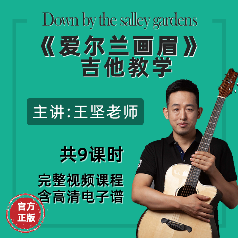 《爱尔兰画眉》王坚指弹吉他教学视频课程含高清吉他电子谱示范