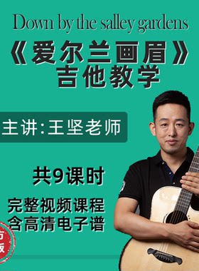 《爱尔兰画眉》王坚指弹吉他教学视频课程含高清吉他电子谱示范