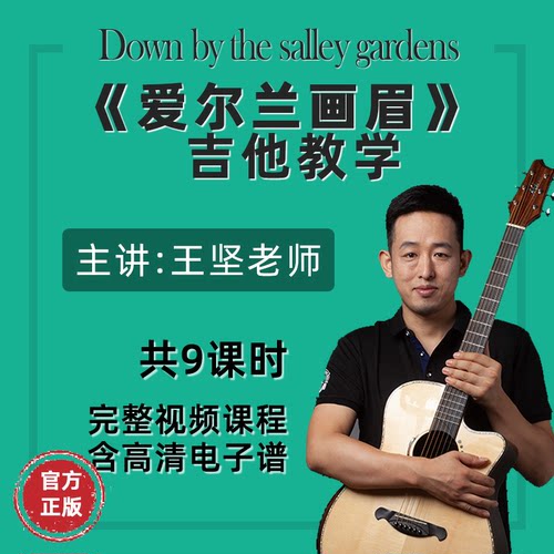 《爱尔兰画眉》王坚指弹吉他教学视频课程含高清吉他电子谱示范