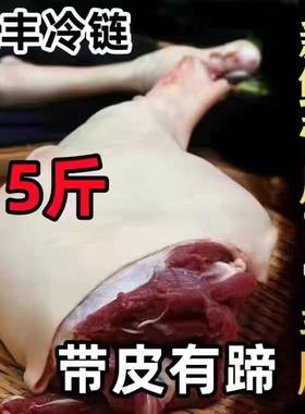 带皮羊腿新鲜山羊肉生羊前腿后腿羊肉冷冻非熟食整只烧烤火锅食材