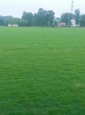 草坪泥土马尼拉庭院别墅小区