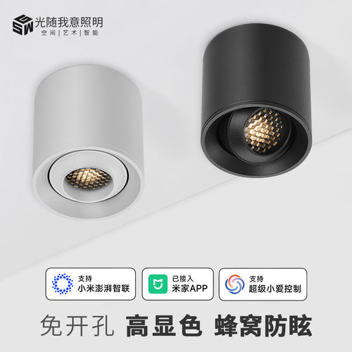 明装筒灯智能高显光随我意