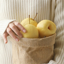 糯米家蜂蜜脆梨山西甜梨当季 新鲜脆甜多汁纯甜可口顺丰