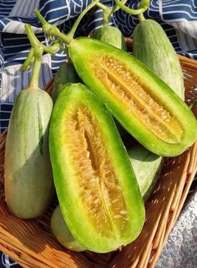 博洋酥7甜瓜 去皮吃香甜脆爽口感酥脆内里流蜜羊角蜜瓜当季现采