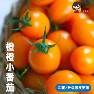 一周排！电白橙橙小番茄圣女果西红柿蕃茄自然熟新鲜水果整箱顺丰