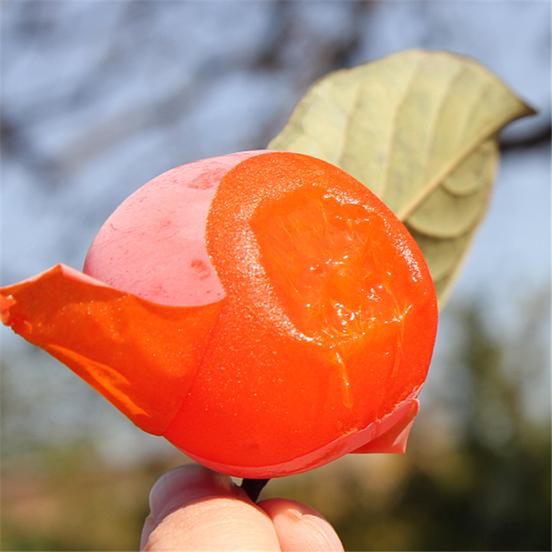 临潼火晶柿子薄皮甜蜜多汁