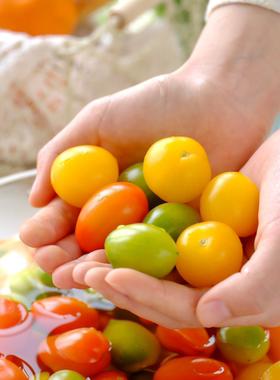 多彩小番茄 黄色小番茄 阳光圣女果小西红柿水果爆汁脆甜有味