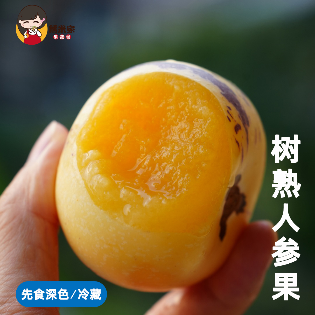 奶香清甜爆汁新鲜现摘树熟人参果