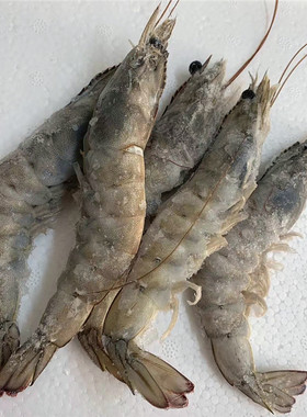 海补大虾海虾肉质Q弹鲜美顺丰