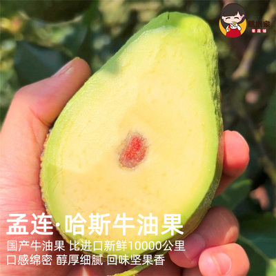云南牛油果果肉细腻香浓
