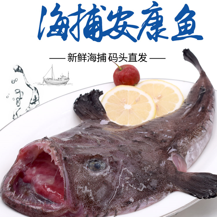 新鲜海捕特大安康鱼鲜活蛤蟆鱼霞浦海鲜水产冷冻海鱼类丑鱼灯笼鱼