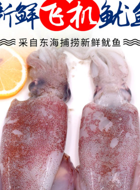 鱿鱼新鲜深海大章鱼乌贼鱼烧烤鱿鱼头须生鲜飞机冷冻海鲜水产鲜活