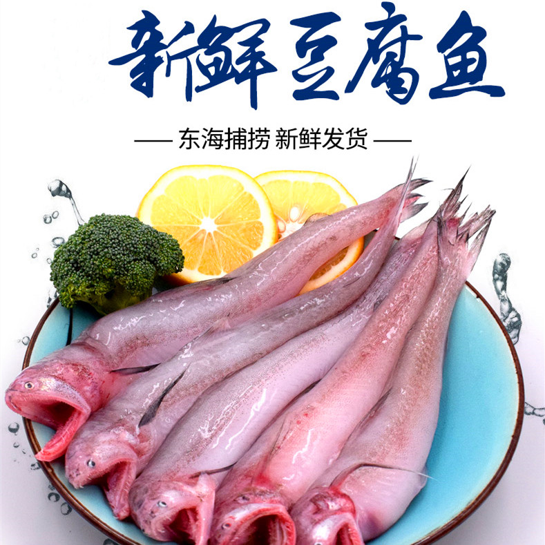 霞浦海鲜九肚鱼新鲜豆腐鱼龙头鱼其它