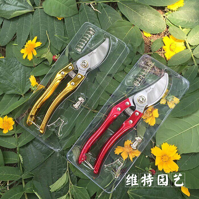 园艺剪刀修枝剪果树剪刀多功能家用省力树枝剪子工具修花剪刀