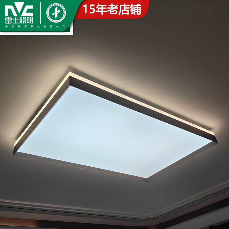 雷士实体伯克利新款智洁离线语音客厅餐厅书房卧室简单时尚带安装