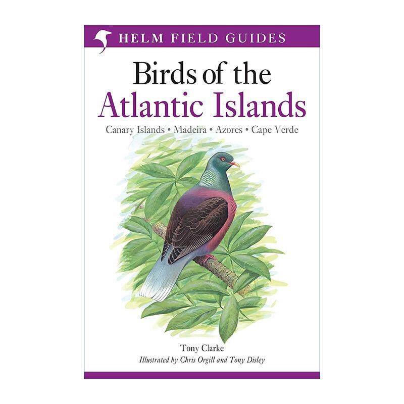 英文原版 A Field Guide to the Birds of the Atlantic Islands 大西洋岛屿鸟类野外指南 英文版 进口英语原版书籍