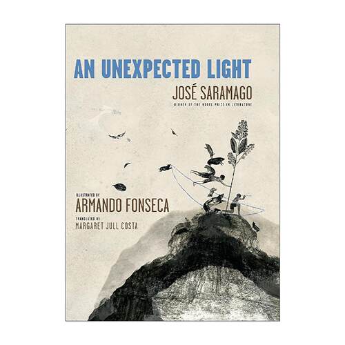 英文原版 An Unexpected Light 意外之光 儿童传记科普精装绘本 诺贝尔文学奖得主若泽·萨拉马戈 英文版 进口英语原版书籍