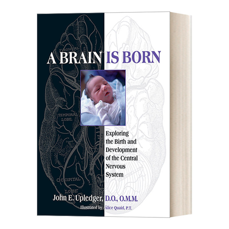 一个大脑的诞生 英文原版 A Brain Is Born 索中枢神经系统的诞生和发展 另类疗法 健康 John E.Upledger 英文版 进口英语原版书籍