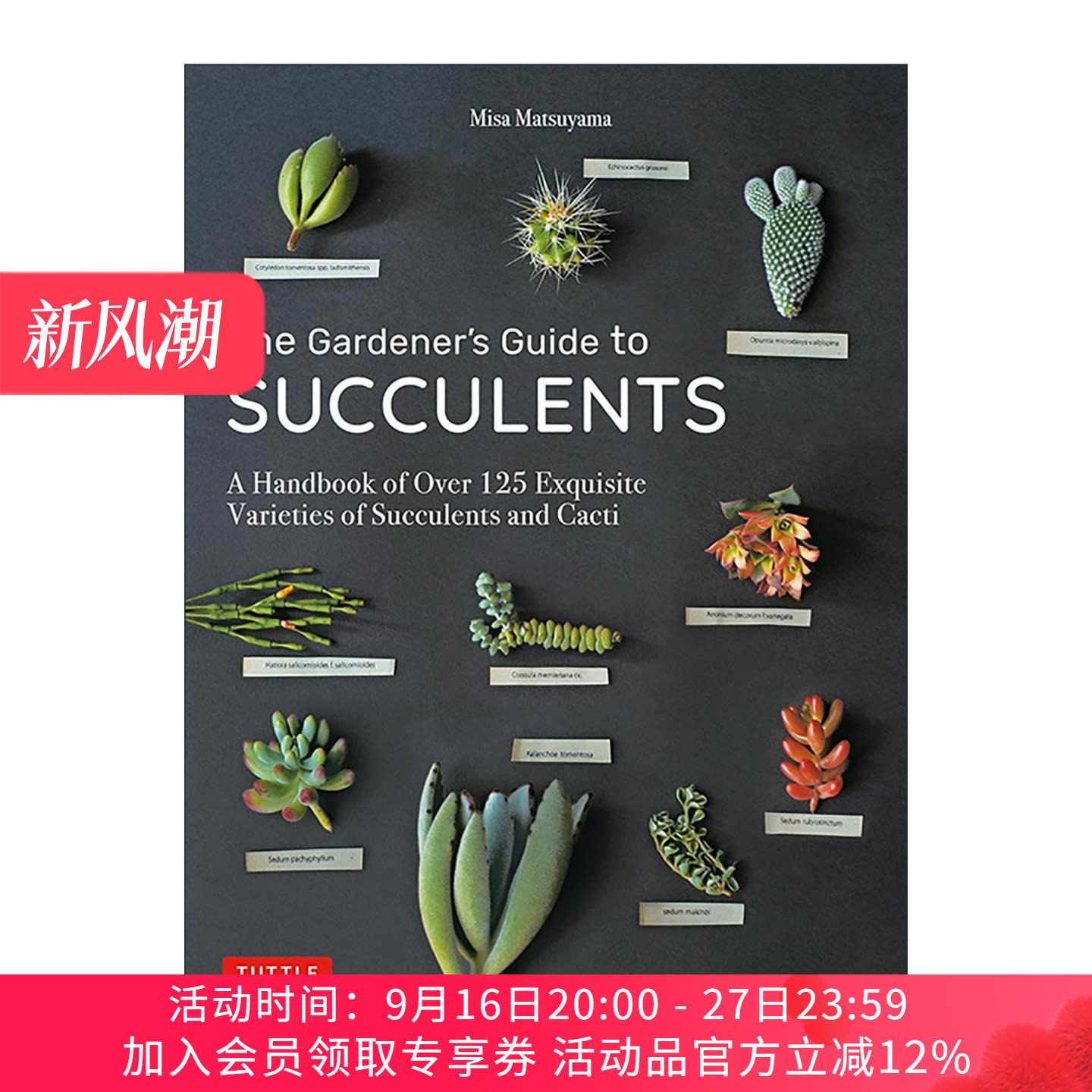英文原版 The Gardener's Guide to Succulents 多肉植物与仙人掌种植插图指南 园艺学家Misa Matsuyama 英文版 进口英语原版书籍