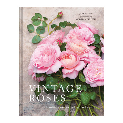 英文原版 Vintage Roses Beautiful Varieties For Home and Garden 复古色玫瑰 适合家庭和花园的美丽品种 精装花卉画册 英文版