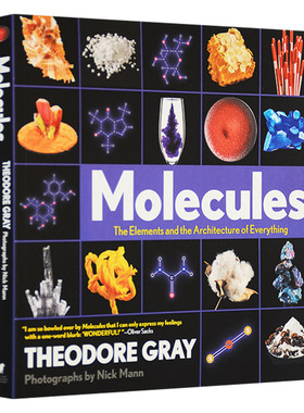 视觉之旅 化学世界的分子奥秘英文原版 Molecules The Elements and the Architecture of Everything 分子一切的要素和架构英文版