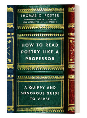 英文原版 How to Read Poetry Like a Professor 如何读一首诗 美国密歇根大学教授托马斯·福斯特Thomas Foster传授6条读诗方法
