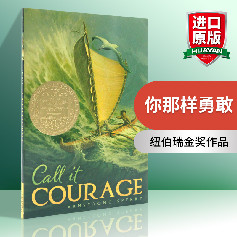 你那样勇敢英文原版小说