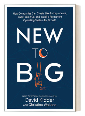 增长维艰 英文原版 New to Big 成熟企业如何实现持续增长 David Kidder 精装 英文版 进口英语原版书籍