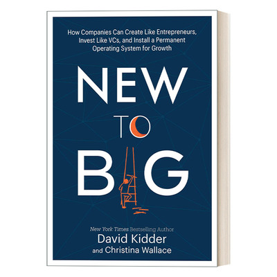 增长维艰 英文原版 New to Big 成熟企业如何实现持续增长 David Kidder 精装 英文版 进口英语原版书籍