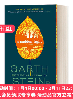 穿过森林的男孩 英文原版小说 A Sudden Light 加思·斯坦 英文版 进口英语原版书籍