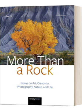 英文原版 More Than a Rock, 2nd Edition 不止一块石头，第二版:关于艺术、创意、摄影、自然和生活的文章 进口英语原版书籍
