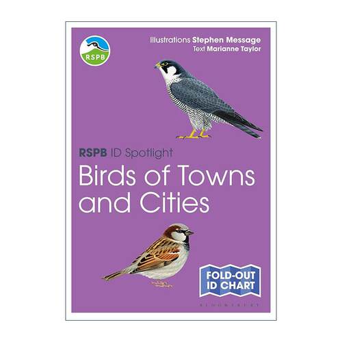 英文原版 RSPB ID Spotlight Birds of Towns and Cities 城镇鸟类观赏指南图表 英文版 进口英语原版书籍