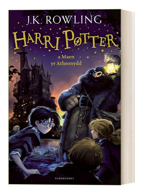 英文原版小说 Harry Potter and the Philosopher's Stone Welsh 哈利波特与魔法石 哈利波特#1 威尔士语版 精装 英文版 进口书籍