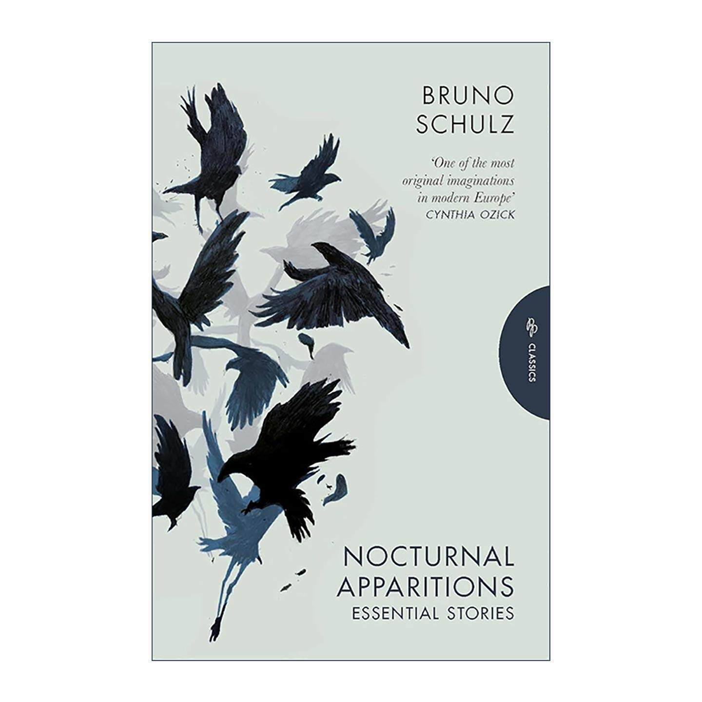 英文原版 Nocturnal Apparitions 夜间幽灵 波兰裔犹太作家布鲁诺·舒尔茨 短篇集 英文版 进口英语原版书籍