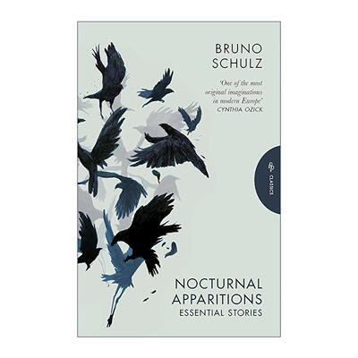 英文原版 Nocturnal Apparitions 夜间幽灵 波兰裔犹太作家布鲁诺·舒尔茨 短篇集 英文版 进口英语原版书籍
