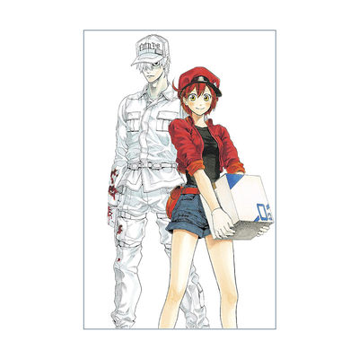 英文原版 Cells at Work! Complete Manga Box Set! 工作细胞 6卷完整集盒装套装 漫画 英文版 进口英语原版书籍