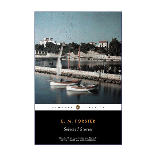 英文原版小说 Selected Stories E.M.福斯特短篇小说集 企鹅黑经典 Penguin Black Classics 英文版 进口英语原版书籍
