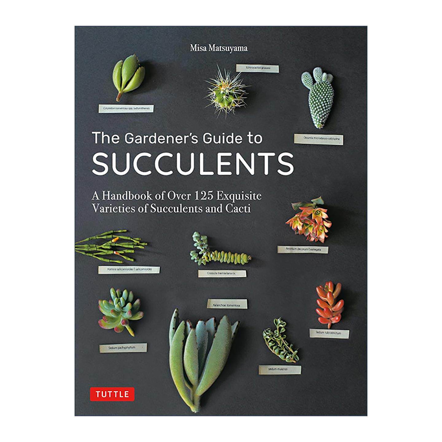英文原版 The Gardener's Guide to Succulents 多肉植物与仙人掌种植插图指南 园艺学家Misa Matsuyama 英文版 进口英语原版书籍