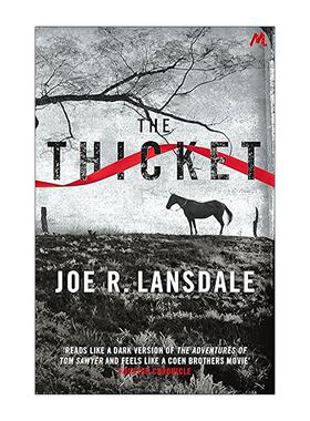 英文原版 The Thicket 恶林 电影大灌丛原著小说 惊悚悬疑犯罪小说 英文版 进口英语原版书籍