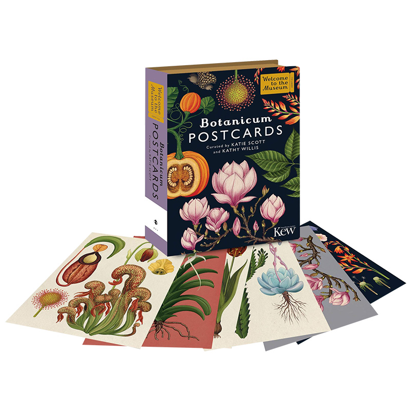 英文原版 Botanicum Postcards 植物博物馆明信片50张 英文版