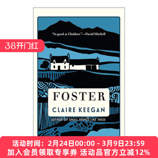 英文原版 Foster 寄养 走在蓝色的田野上作者Claire Keegan克莱尔·吉根 精装 英文版 进口英语原版书籍